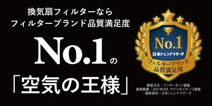 レンジフードフィルタースタートセット　交換用フィルター2枚付き　専用取付枠「B10バネ」サイズ　大きさ：ヨコ251mm x タテ296mm