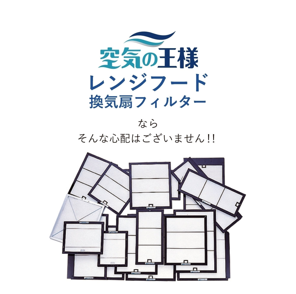 レンジフードフィルタースタートセット　交換用フィルター2枚付き　専用取付枠「E2」サイズ　大きさ：ヨコ200mm x タテ268mm